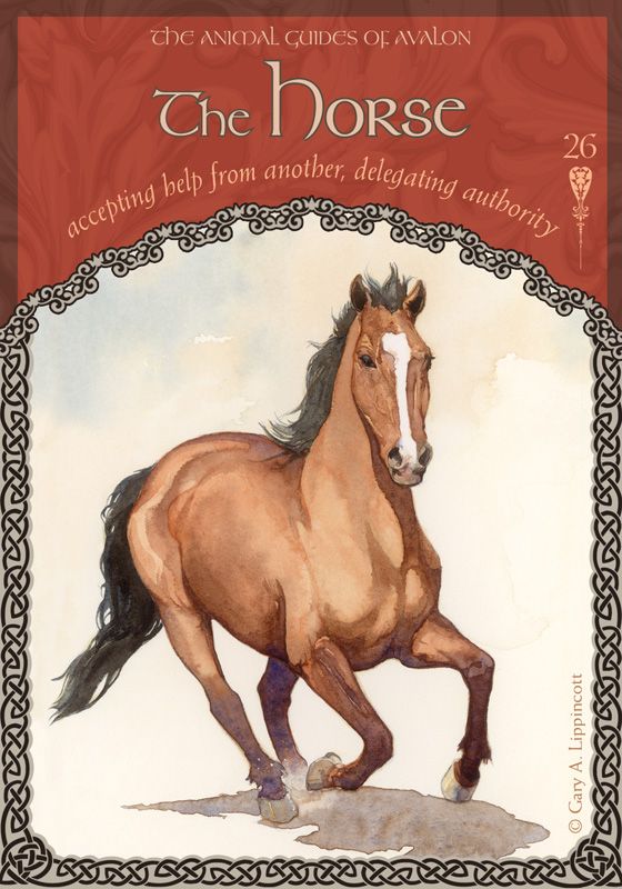 The Wisdom of Avalon Oracle Cards